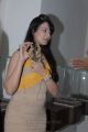 Actress Saloni Aswani Latest Hot Photos at Hiya Jewellery