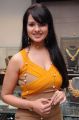 Actress Saloni Aswani Latest Hot Photos at Hiya Jewellery