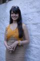 Telugu Actress Saloni Aswani Hot Pics in Sleeveless Dress