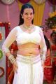 Telugu Actress Saloni Aswani New Photos