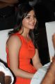 Actress Samantha Hot Photos at Bangaru Kodipetta Audio Launch