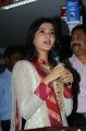 Samantha Latest Cute Stills