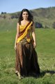 Samantha Half Saree Pics in Dookudu