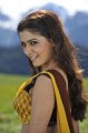 Dookudu Samantha Hot Saree Gallery