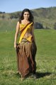 Samantha Half Saree Pics in Dookudu