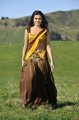 Samantha Hot Spicy Saree in Dookudu