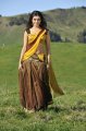 Samantha Half Saree Pics in Dookudu