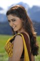 Samantha Half Saree Pics in Dookudu