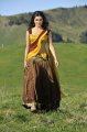 Samantha Half Saree Pics in Dookudu