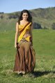 Samantha Half Saree Photos in Dookudu