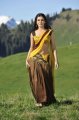 Samantha Half Saree Pics in Dookudu