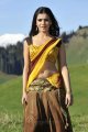 Samantha Hot Spicy Saree in Dookudu