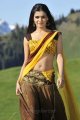 Samantha Hot Spicy Saree in Dookudu