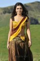 Samantha Hot Spicy Saree in Dookudu