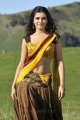 Dookudu Samantha Hot Saree Gallery