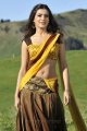 Samantha Hot Spicy Saree in Dookudu