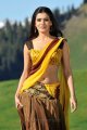 Dookudu Samantha Hot Saree Gallery