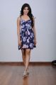 Samantha New Hot Photoshoot Stills in Blue Flower Design Dress