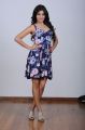 Actress Samantha in Blue Flower Design Dress Photoshoot Stills