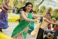 Samantha Green Saree Photos