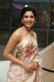 Actress Samantha Saree Stills @ Jaanu Movie Thanks Meet