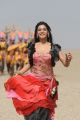 Actress Samantha Hot Pics from Dookudu Chulbuli Chulbuli Song