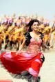 Actress Samantha New Hot Images in Dookudu Chulbuli Song