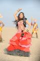 Actress Samantha New Hot Images in Dookudu Chulbuli Song