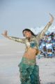 Actress Samantha Hot Pics in Dookudu Chulbuli Song