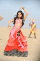 Actress Samantha Hot Pics in Dookudu Chulbuli Song