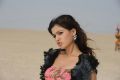 Actress Samantha New Hot Images in Dookudu Chulbuli Song