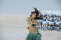 Actress Samantha Latest Hot Images in Dookudu Chulbuli Song