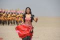 Actress Samantha Ruth Prabhu Hot Images in Dookudu Chulbuli Song