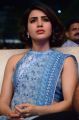 Actress Samantha Pics @ Rangasthalam Success Meet