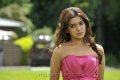 Samantha in Dookudu Images