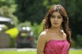 Samantha in Dookudu Images