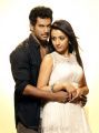 Vishal, Trisha in Samar Movie Photo Shoot Stills