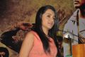 Actress Trisha Krishnan at Samar Movie Success Meet Stills