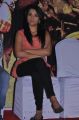 Actress Trisha Krishnan at Samar Movie Success Meet Photos