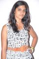 Telugu Actress Samatha at Inthaki Nuvvevaru Logo Launch