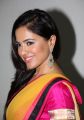 Actress Sameera Reddy in Yellow Pink Saree Photos
