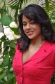 Sameera Reddy Cute Stills