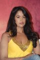 Sameera Reddy Vedi Press Meet Gallery