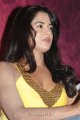 Sameera Reddy Vedi Press Meet Gallery