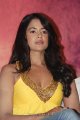 Sameera Reddy Vedi Press Meet Gallery