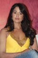 Sameera Reddy Vedi Press Meet Gallery