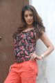 Samiksha Latest Hot Stills