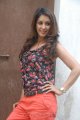 Samiksha Latest Hot Stills