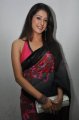 Samiksha Singh Hot Saree Stills