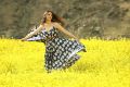 Actress Aditi Rao in Sammohanam Movie New Photos HD
